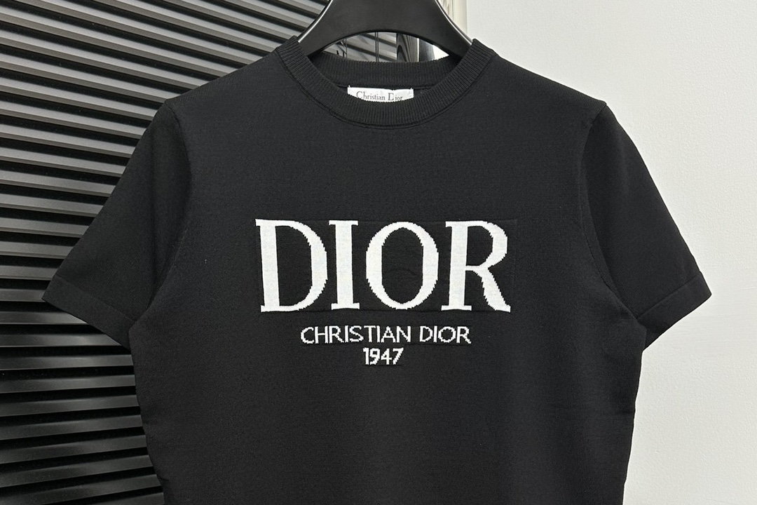 dior レディース tシャツ偽物 半袖 トップス 純綿 シンプル ロゴプリント 日常 通気性いい メンズ ブラック_5